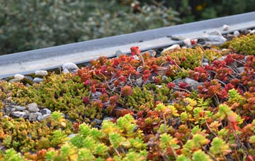 the cost of Little Green green roof installation