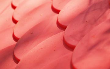 Little Green plastic roof costs